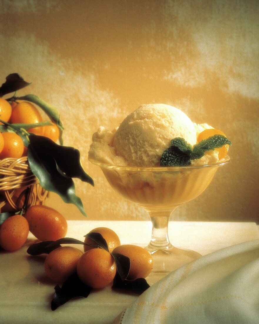 Orange Sherbet in Pedestal Cup; Kumquats and Mint Leaves