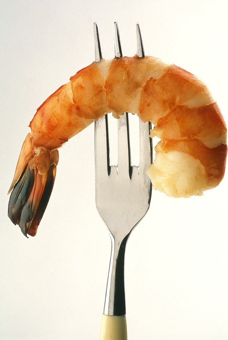 Shrimp on Fork