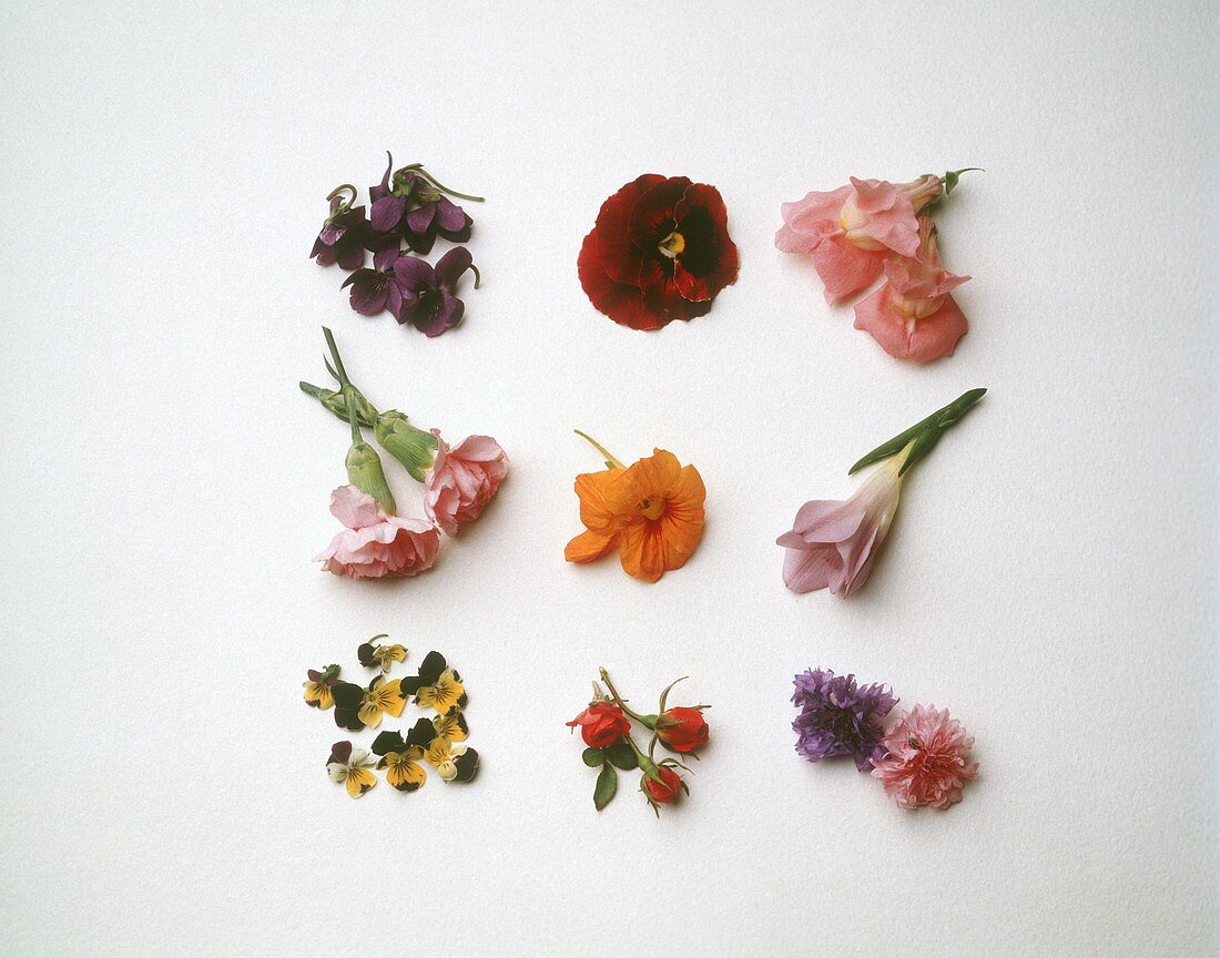 Still Life with Edible Flowers