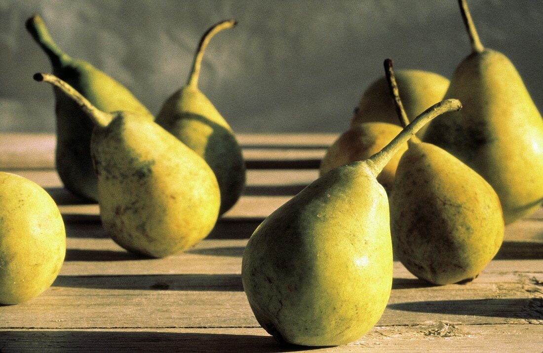 Pear Still Life