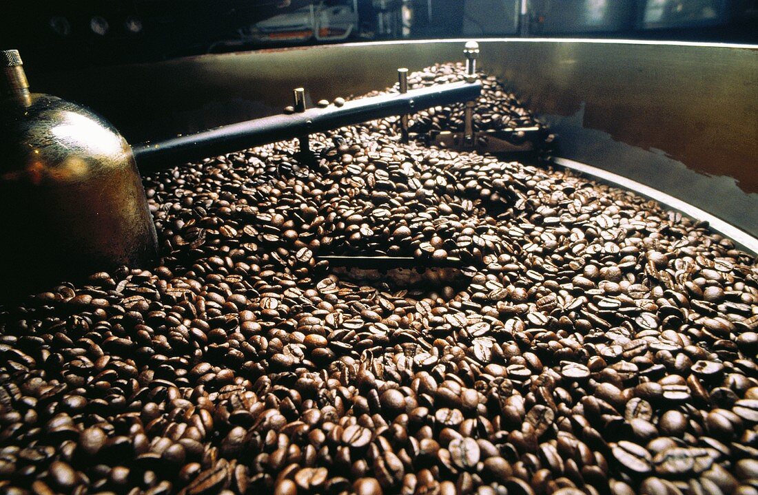 Kaffeebohnen beim Kühlen in einer Maschine