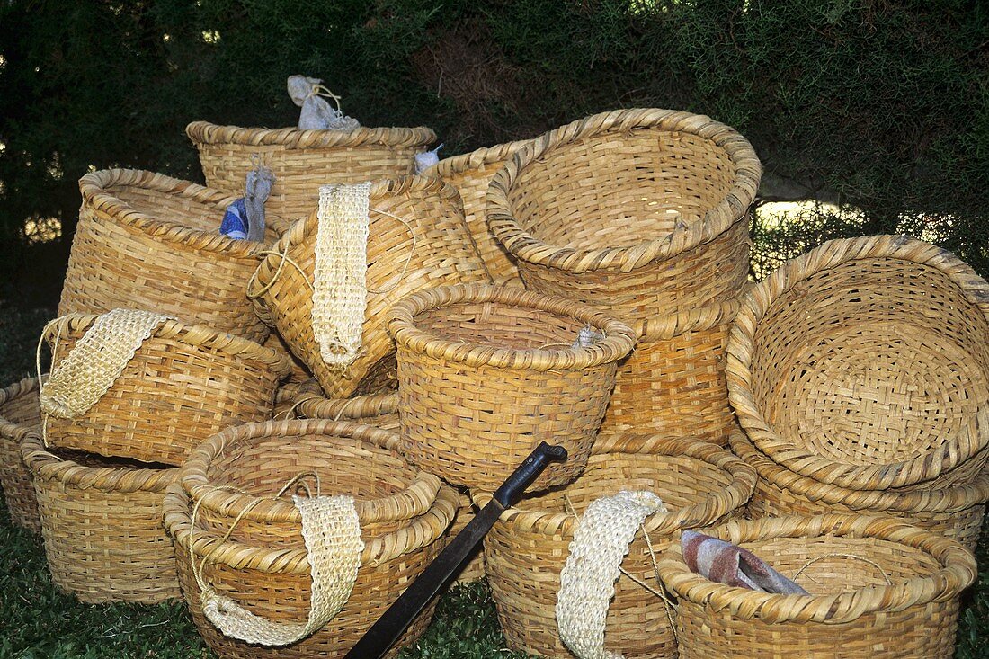 Baskets for picking Coffee Beans