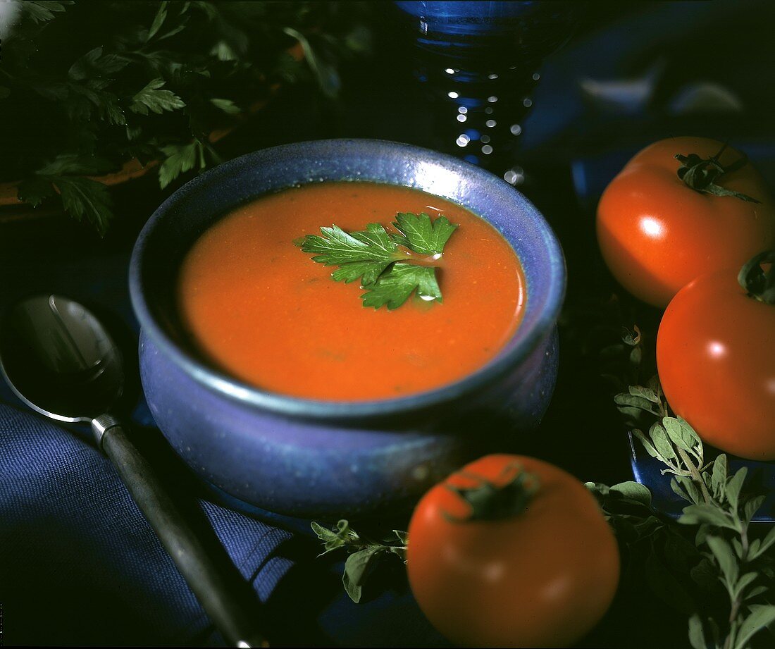 Tomato Soup with single Leaf Garnish