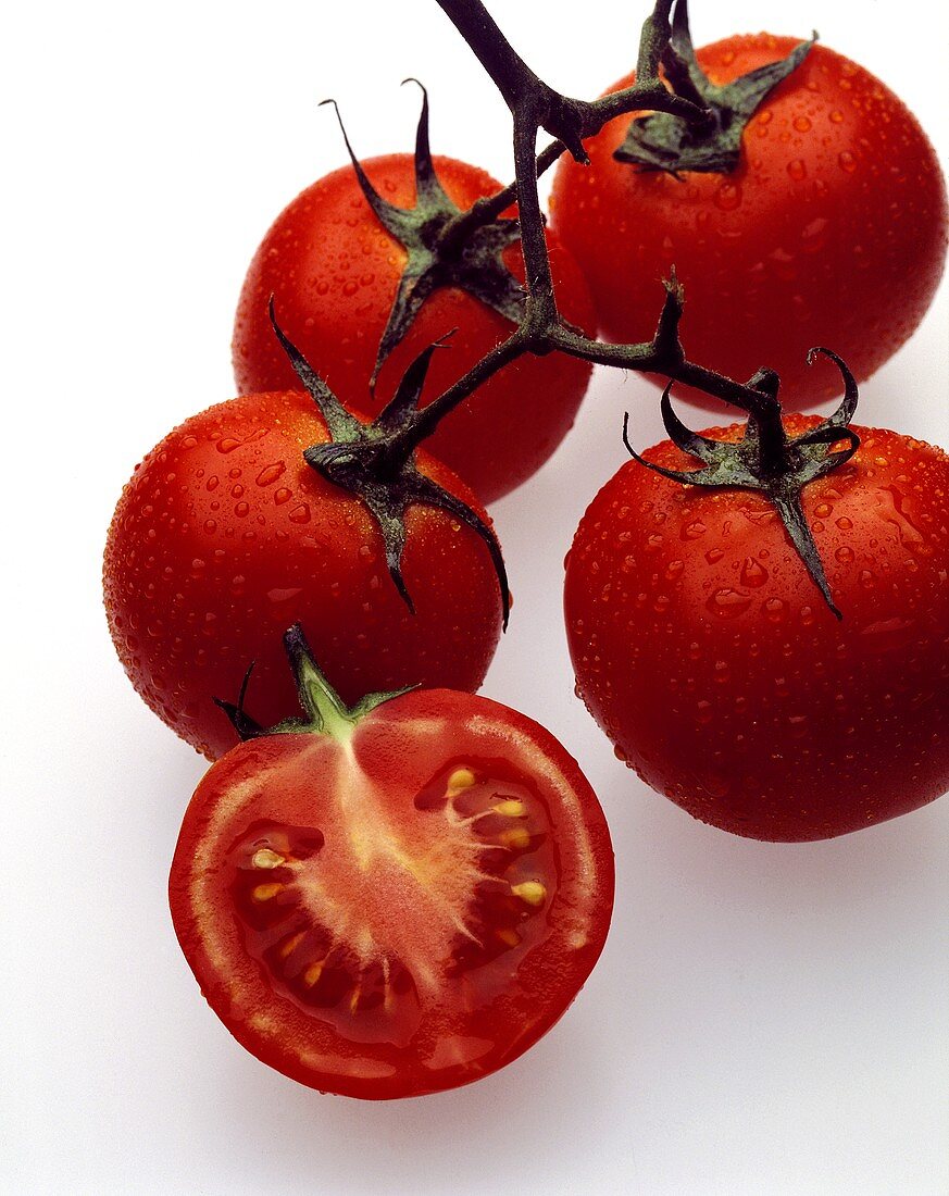 Tomaten am Zweig