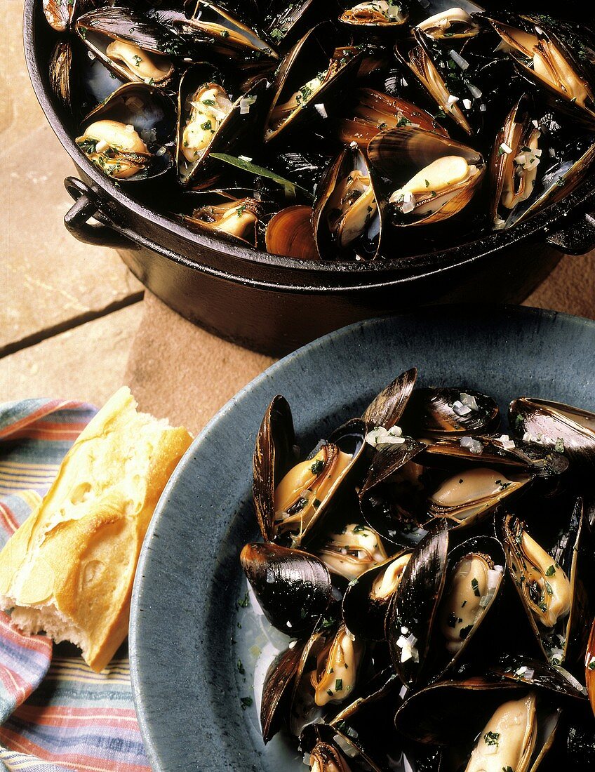 Steamed Mussels in Cast Iron Pot; Bowl