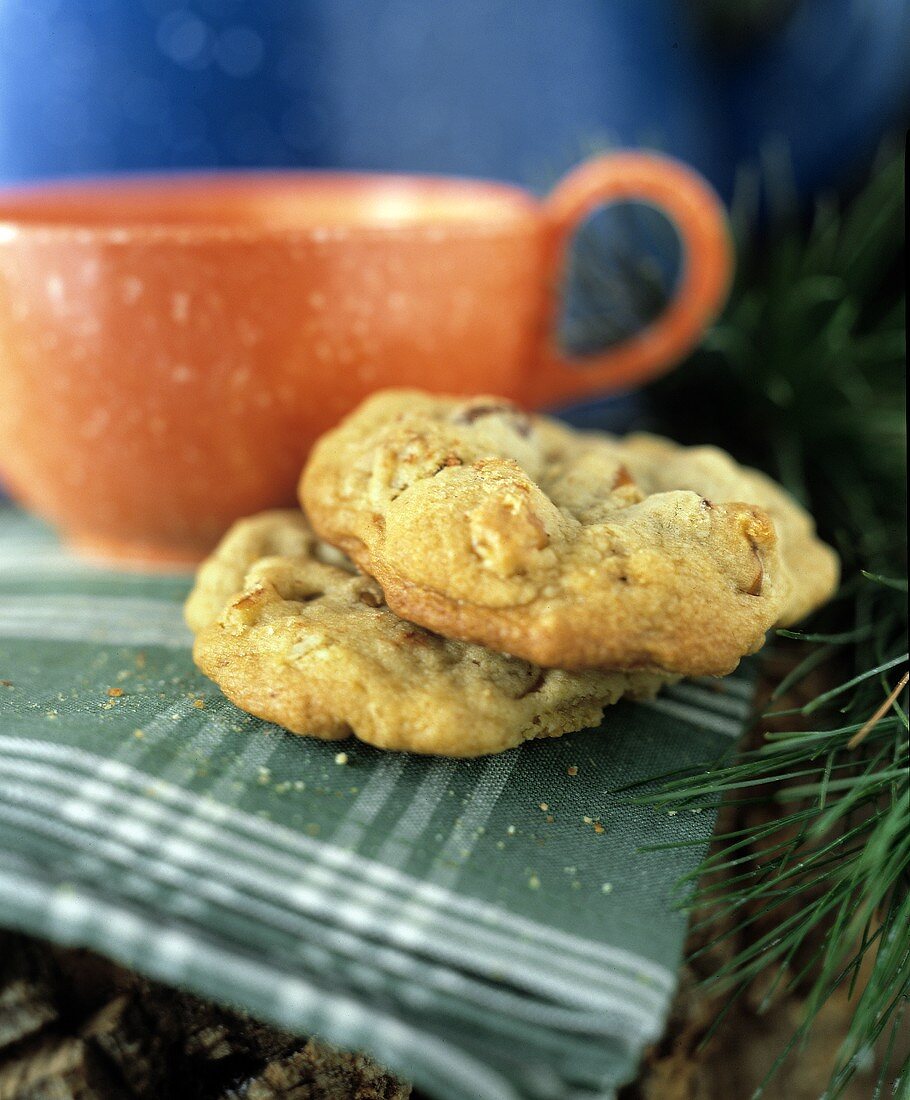 Chocolate Chip-Pecan Cookies