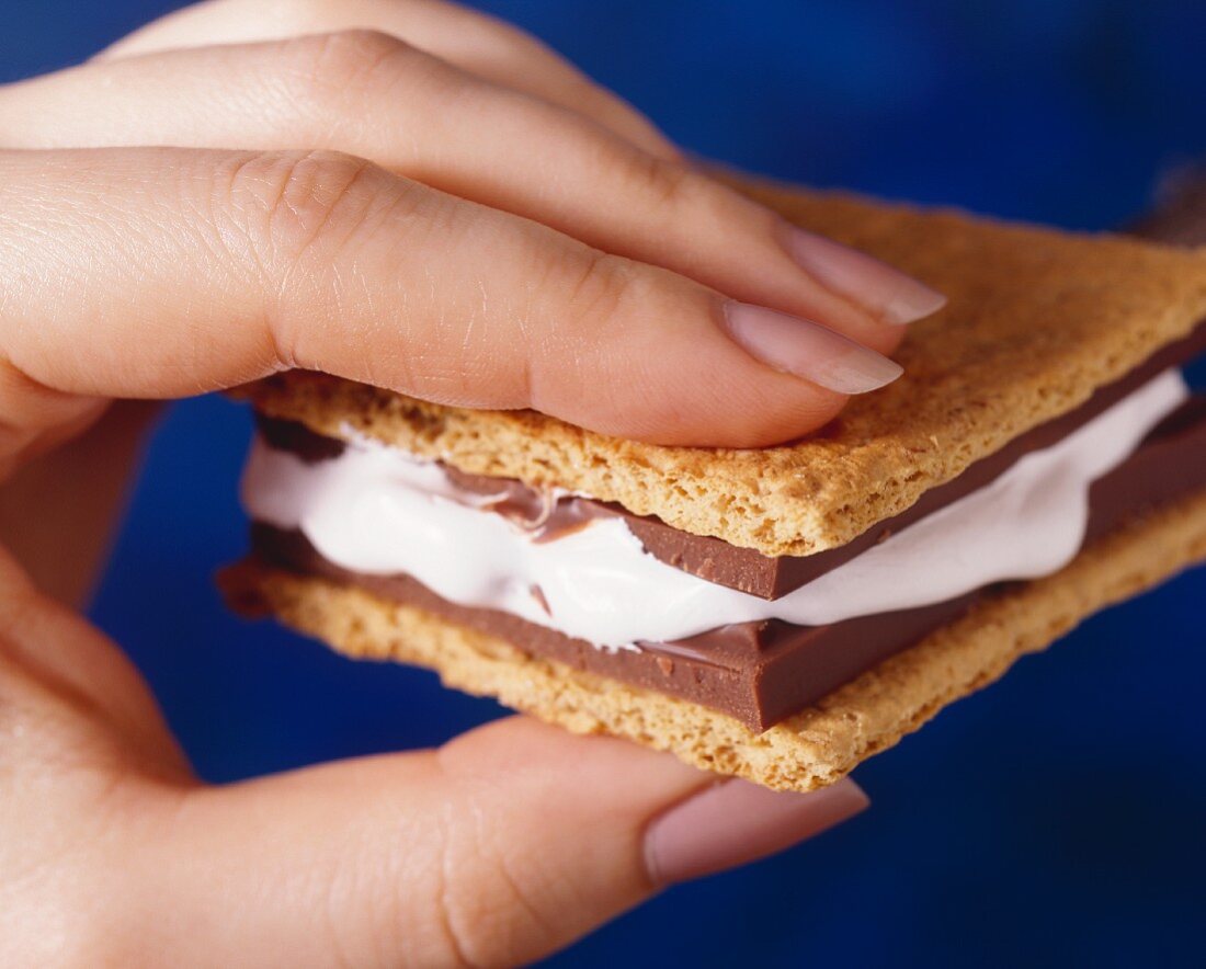 S'more with hand