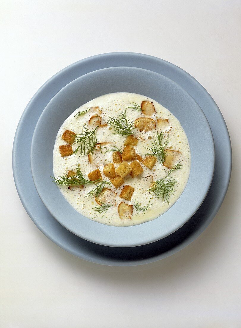 Fennel Soup with Croutons