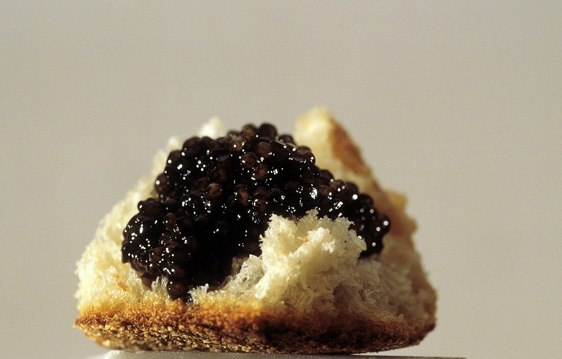 Schwarzer Kaviar auf einem Stück Brot