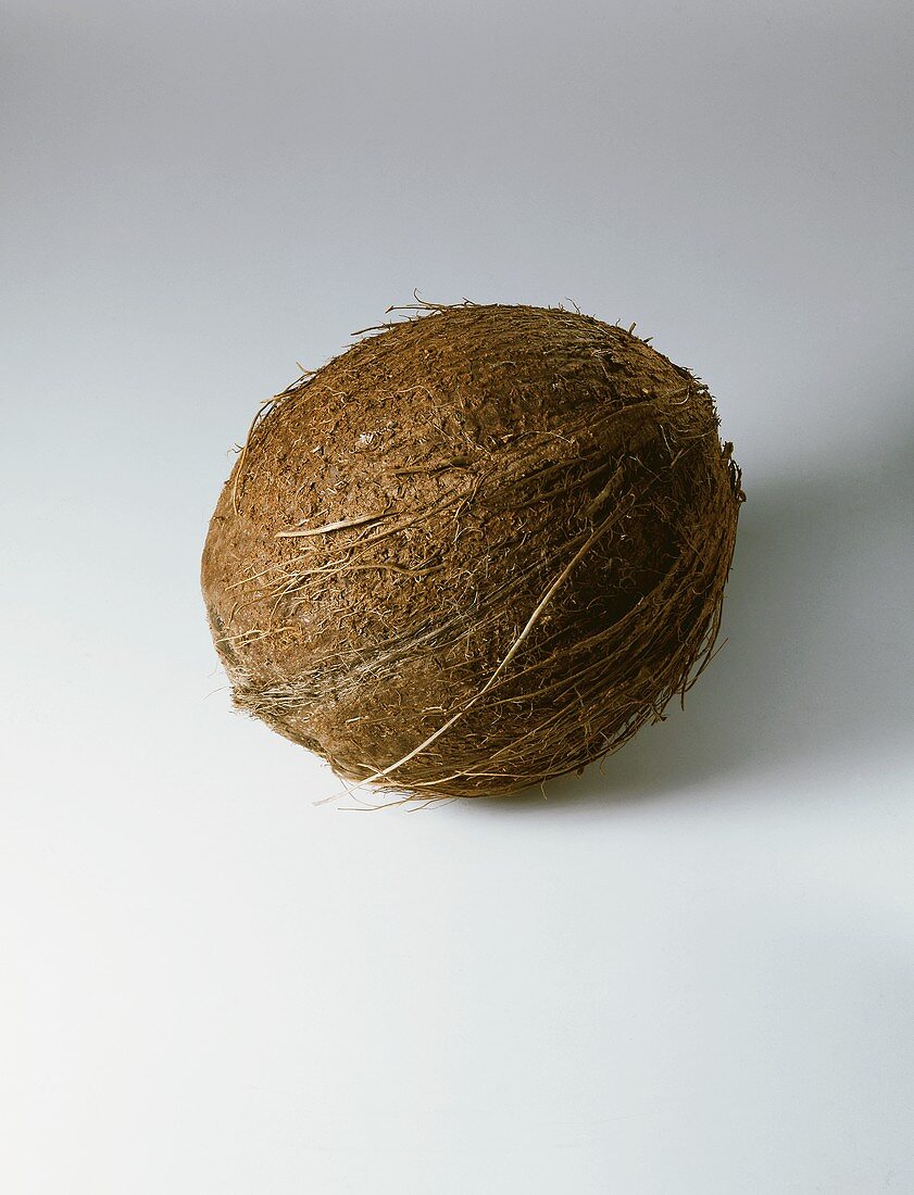 Coconut