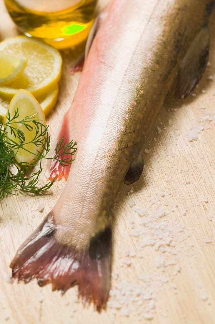 A trout tail with salt, lemons, oil and fresh dill