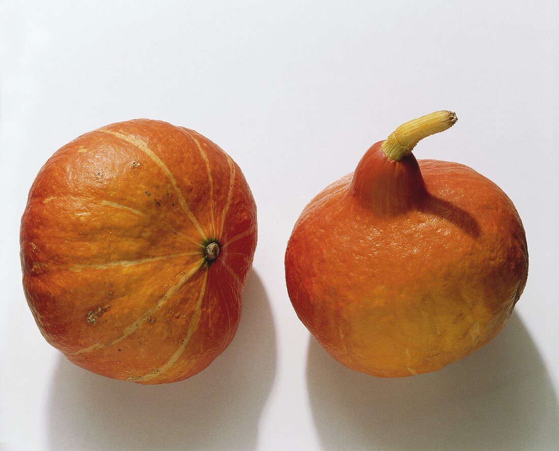 Orange Gourds