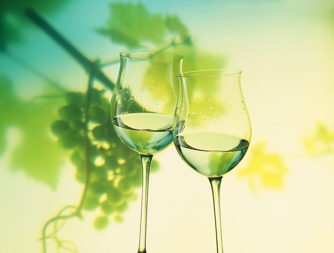 Two Glasses of White Wine; Green Grape Backdrop