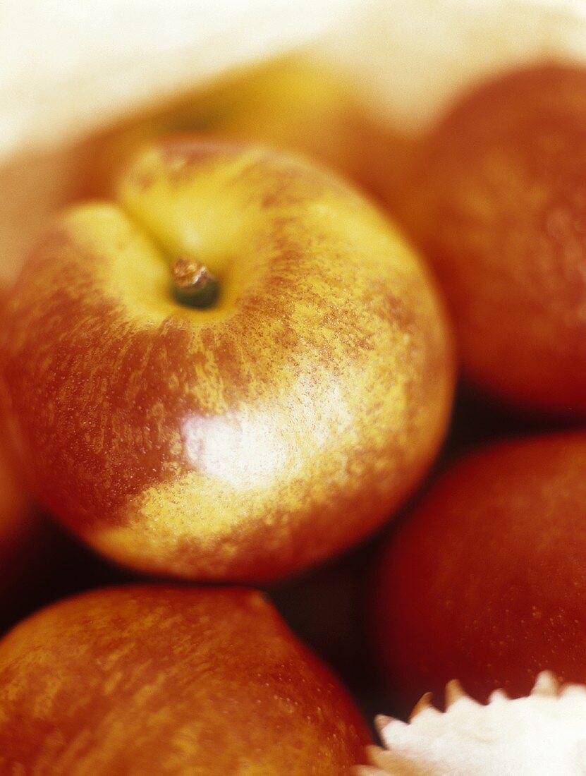 Nectarines in Paper Bag