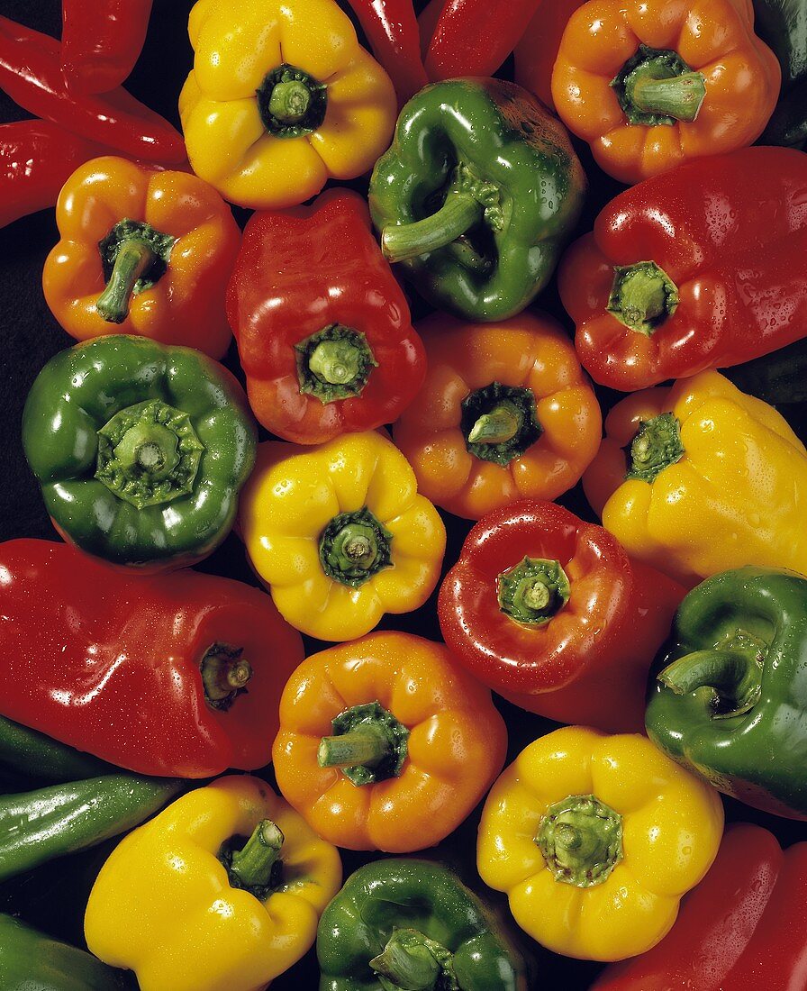 Assorted Types of Bell Peppers