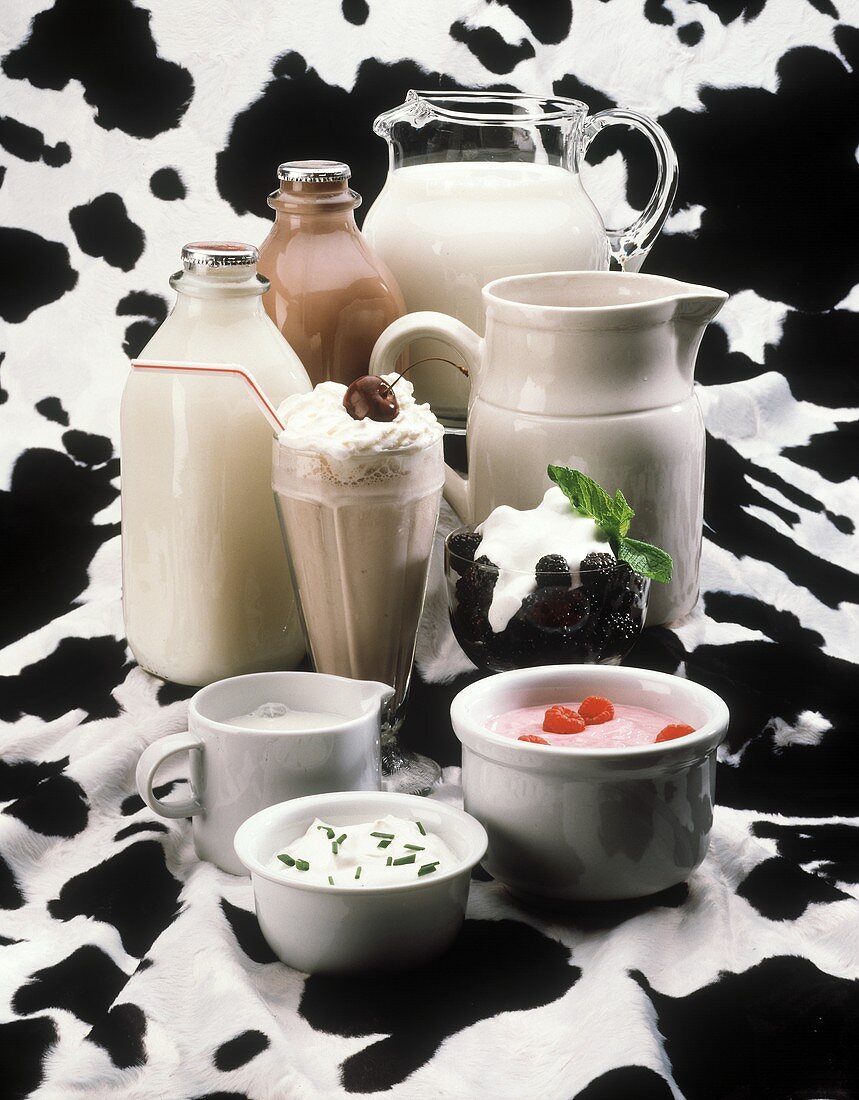 Stillleben mit Milch, Quark, Früchtejoghurt, Milchshake, Sahne