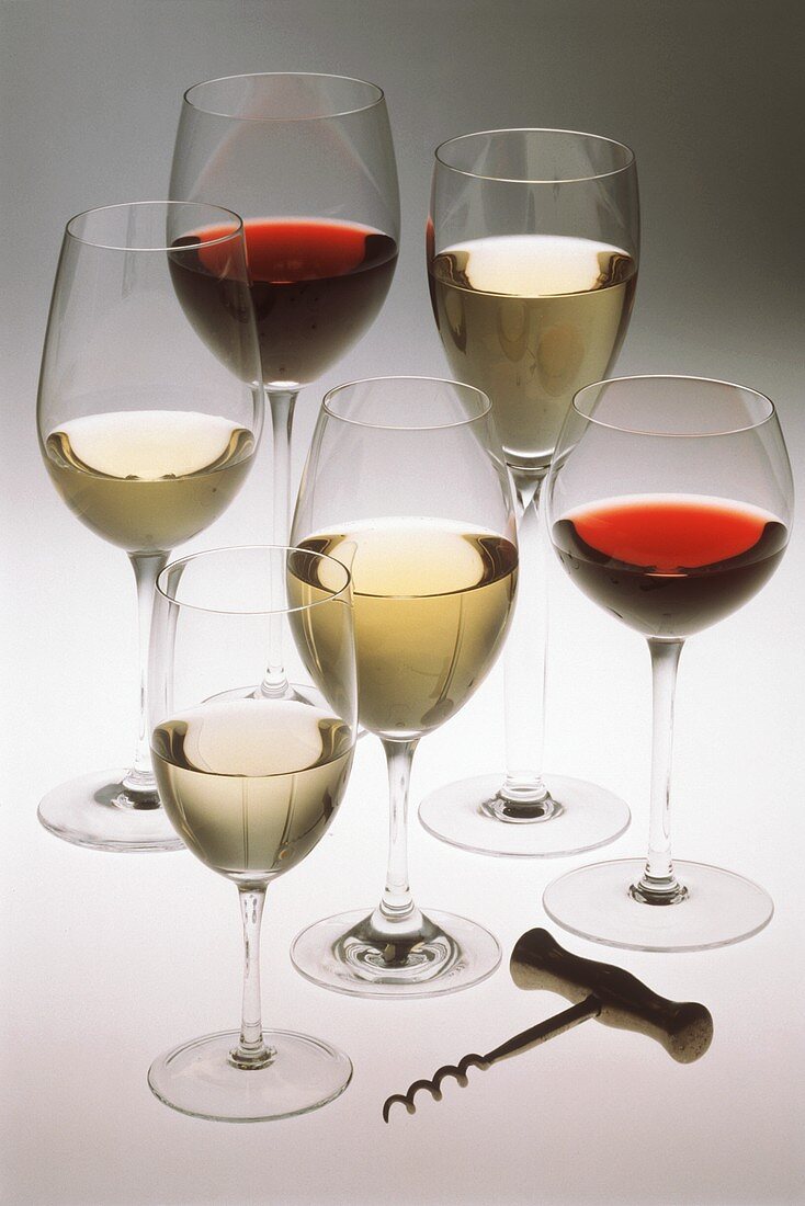 Verschiedene Rot- u. Weissweinsorten in Gläsern; Korkenzieher