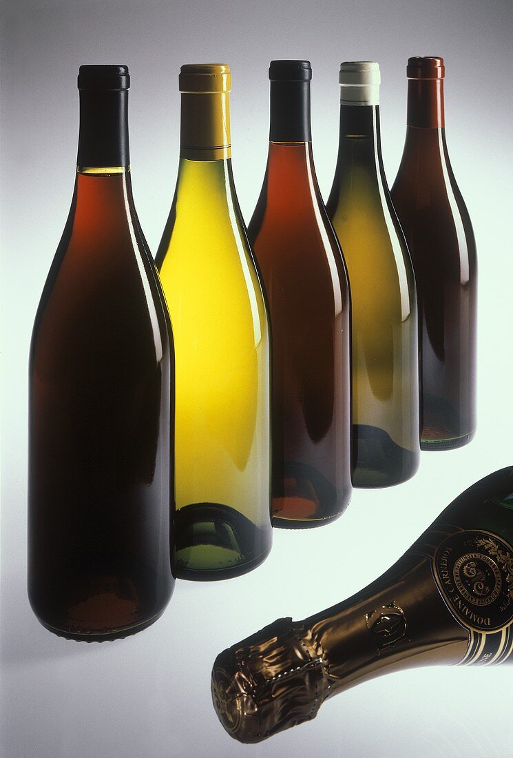 Assorted Types of Wine Bottles