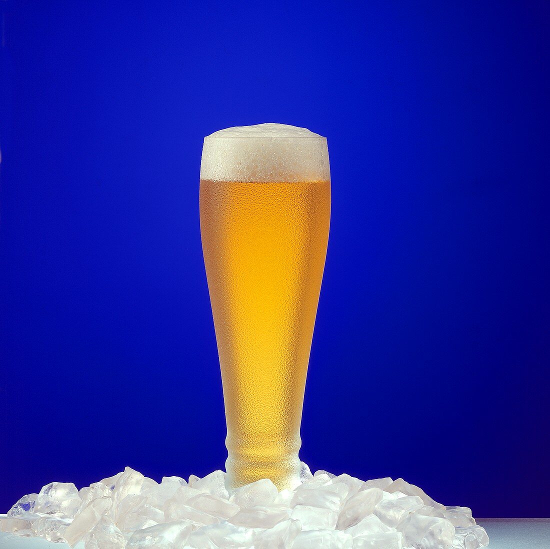 Glass of Cold Lager on Ice