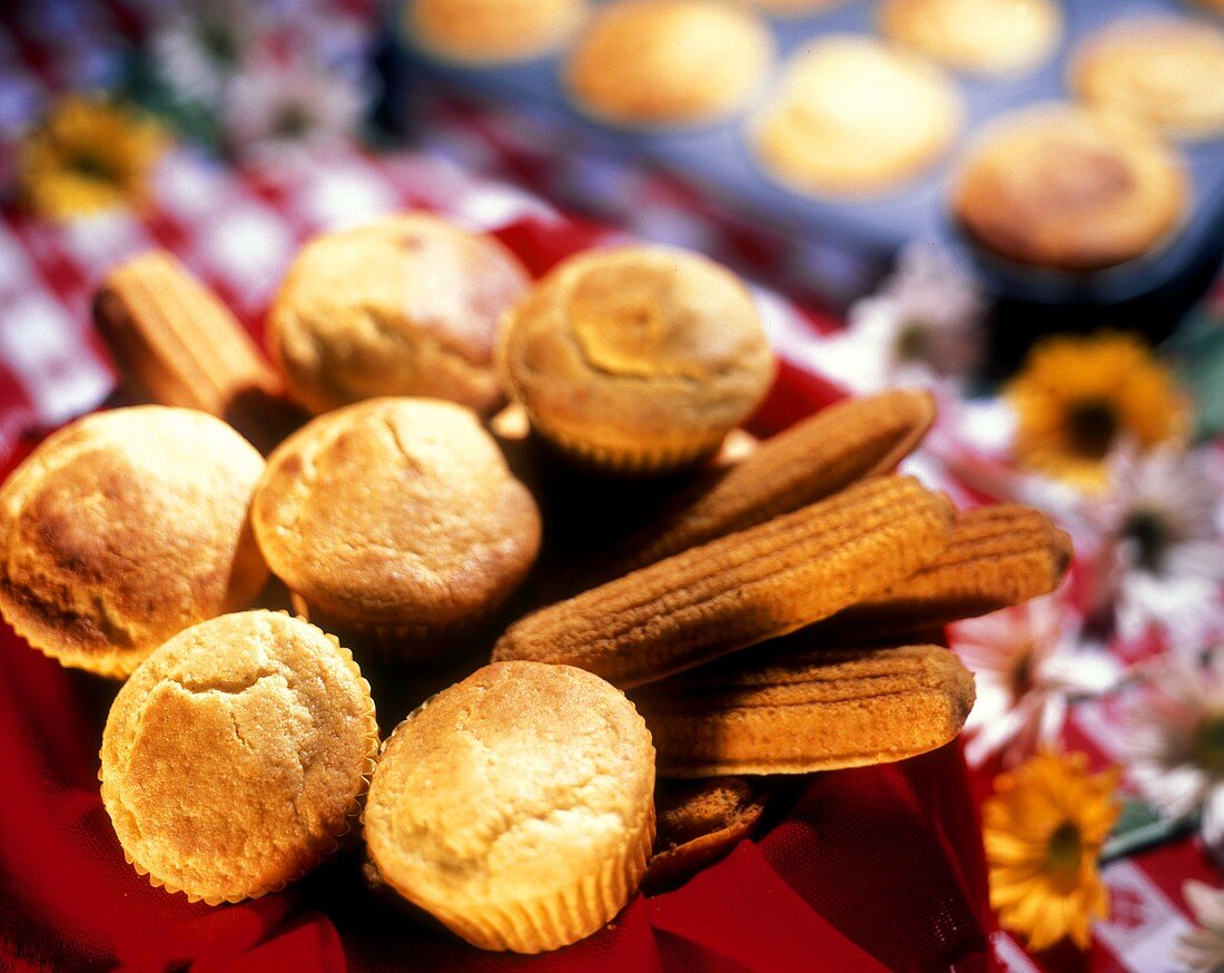 Corn Bread and Muffins