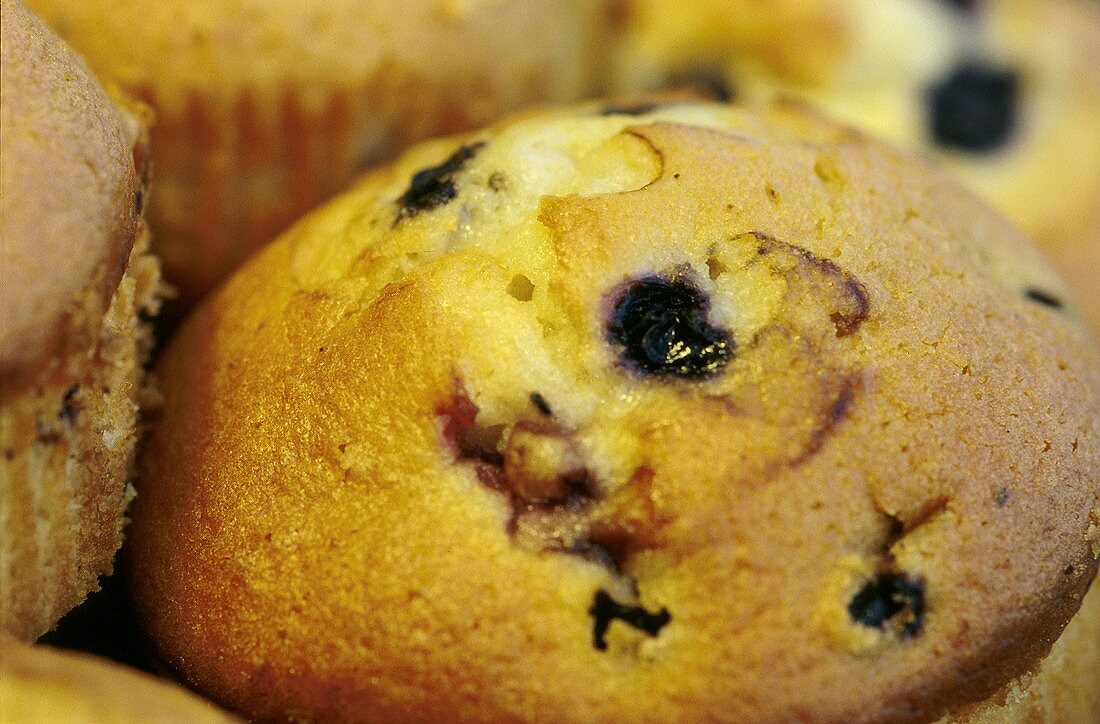 A Blueberry Muffin Up Close