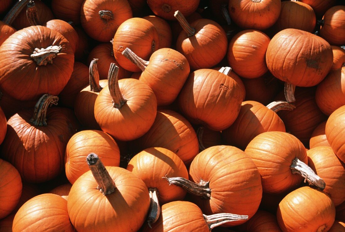 Pumpkins