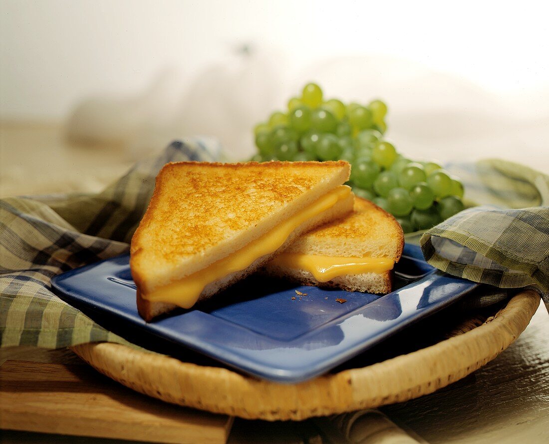 Grilled Cheese Sandwich