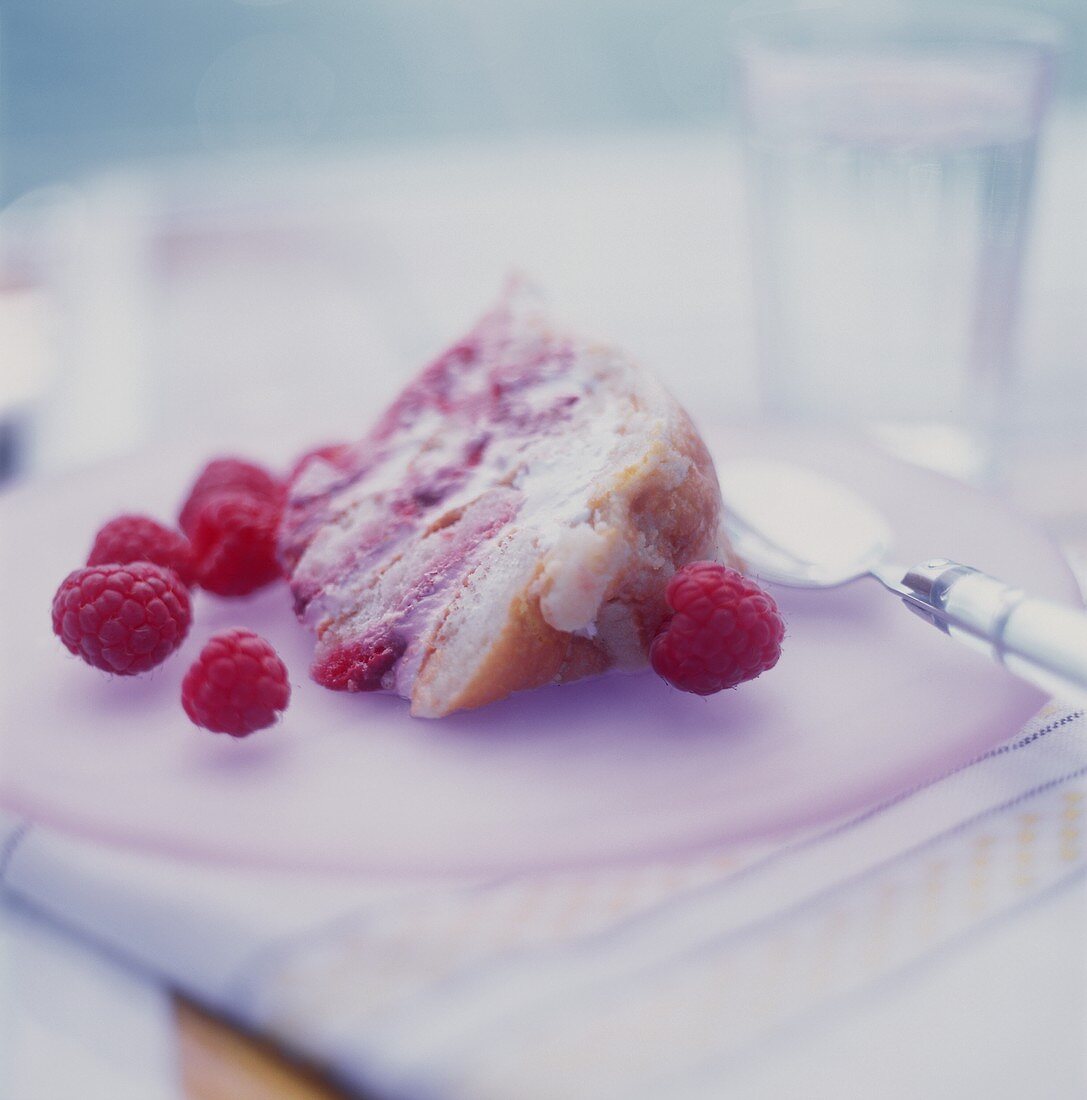 A Slice of Raspberry Cream Filled Sponge Cake