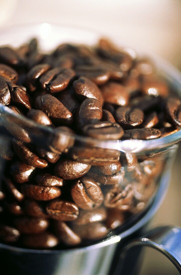 Roasted Coffee Beans