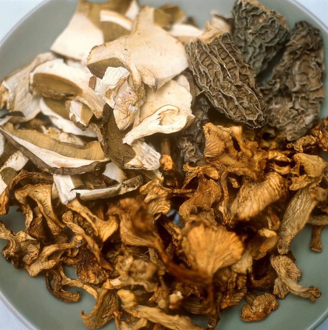 Assorted Dried Mushrooms