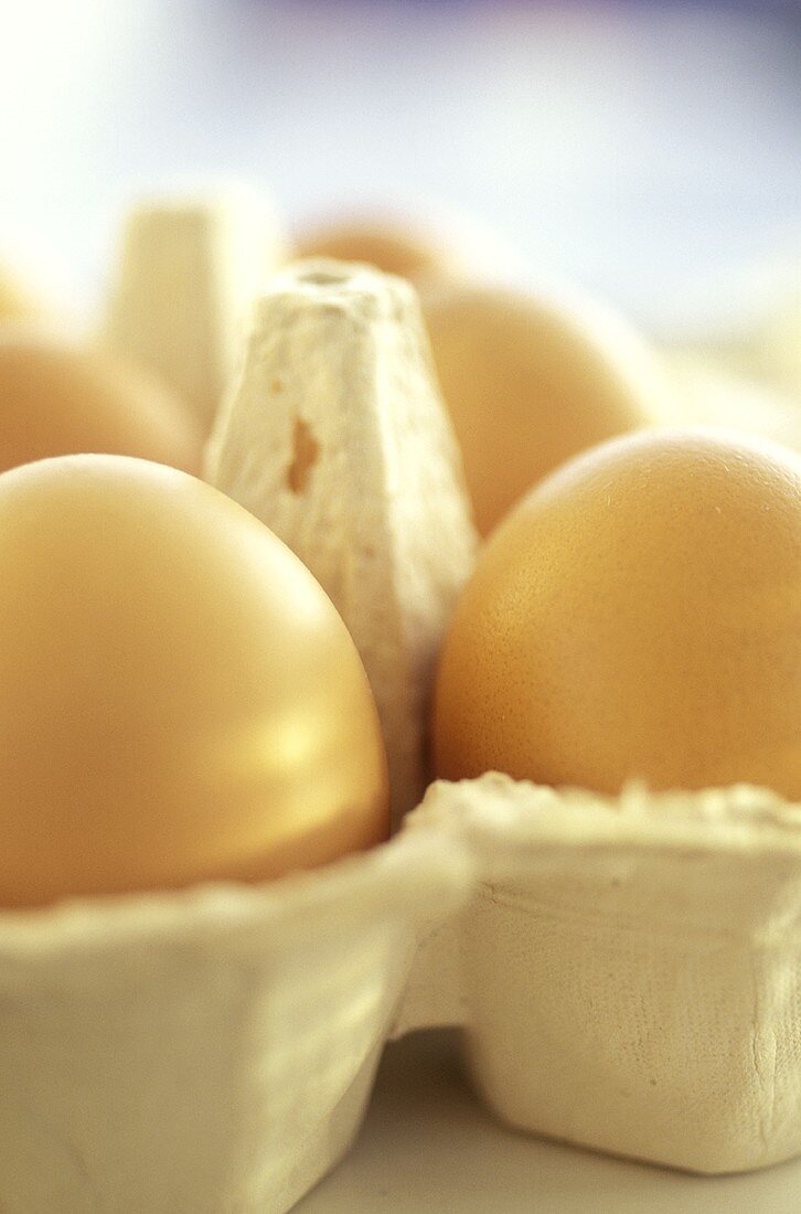 Brown Eggs in Carton
