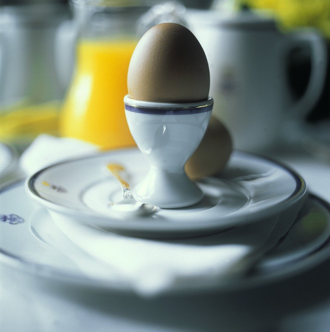 Weichgekochtes Ei im Eierbecher zum Frühstück