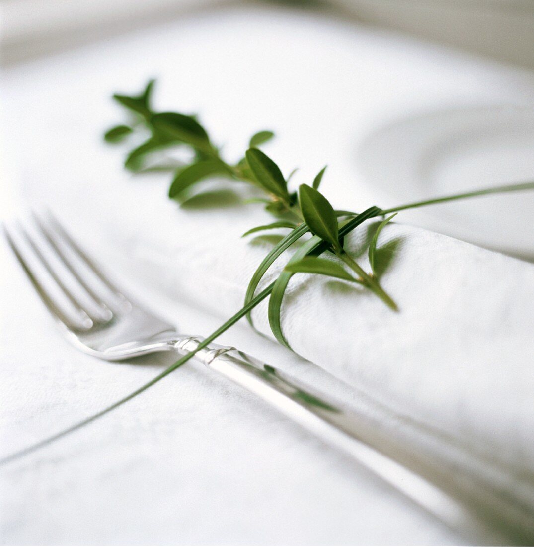 Single place setting with green plant decoration