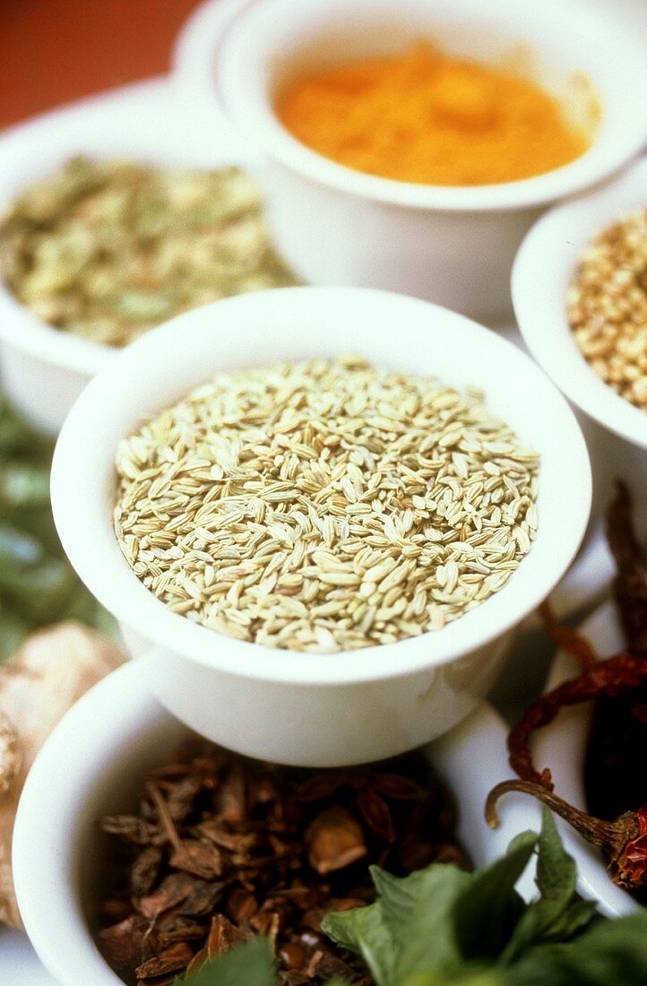 Fennel Seeds with other Spices
