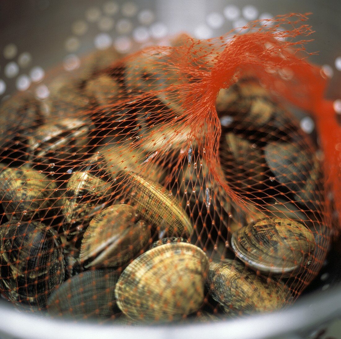 Frische Venusmuscheln im roten Netz