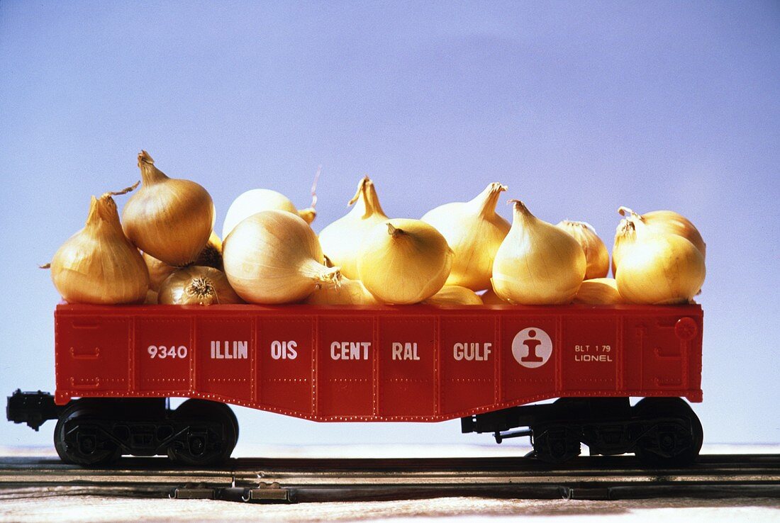 Baby Onions in a Toy Train