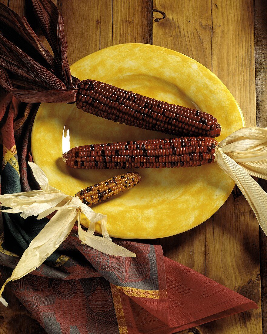 Indianer-Maiskolben auf gelbem Teller