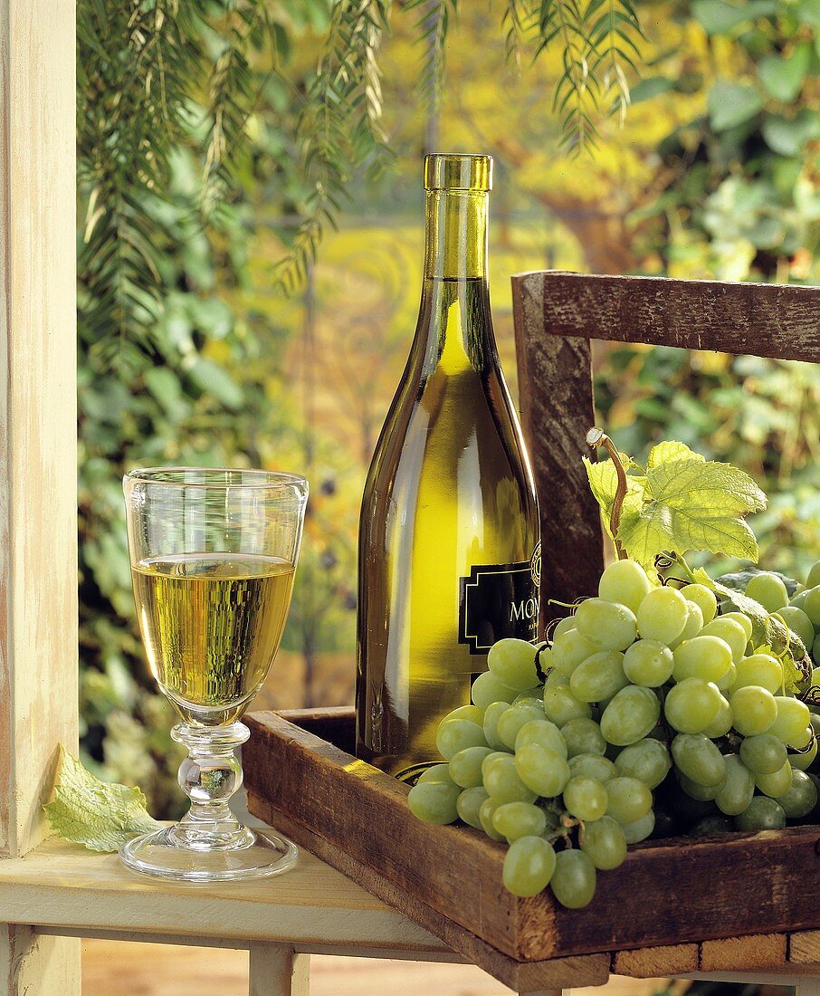Chardonnay in Glas und Flasche; grüne Trauben