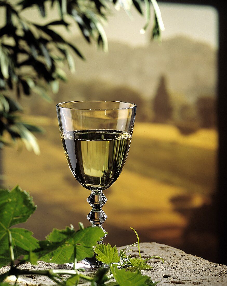 A Glass of White Wine with Italian Scenery