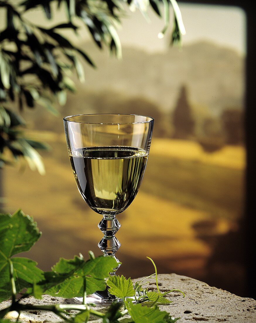 Ein Glas Weißwein vor italienischer Landschaft