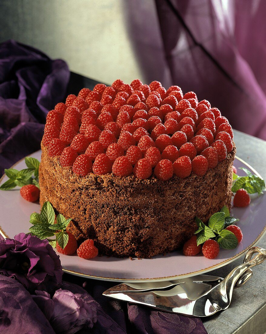 Elegant Chocolate Raspberry Cake