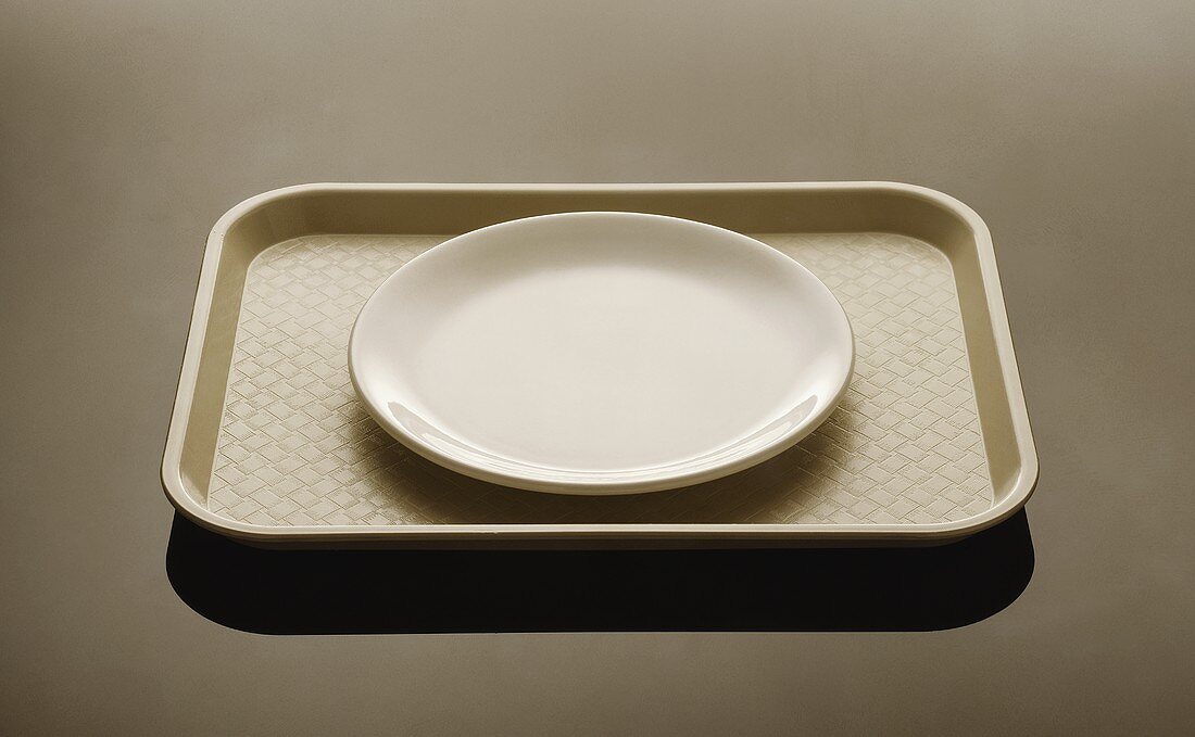 A Plate on a Cafeteria Tray