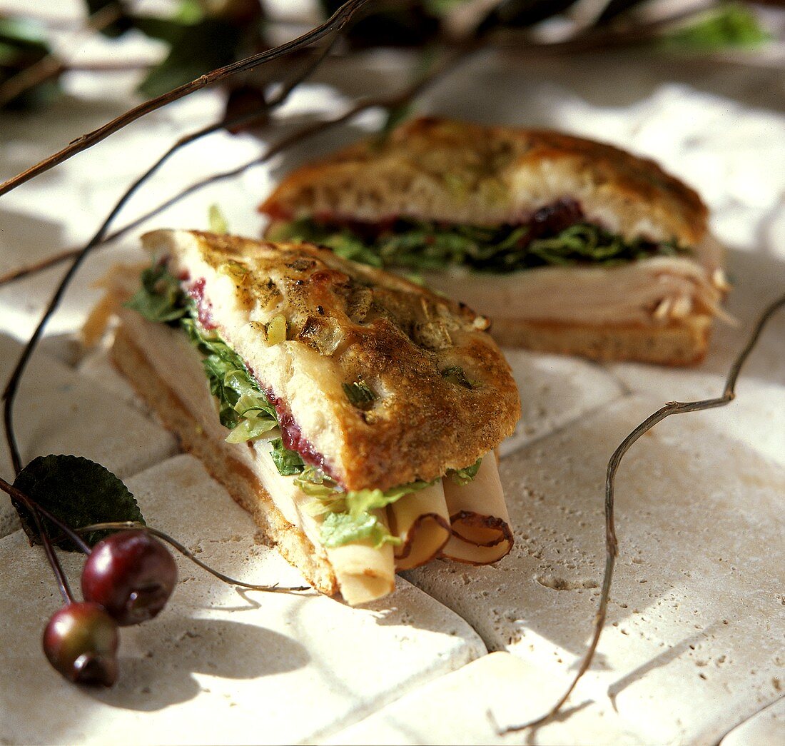 Turkey Sandwich with Cranberry Sauce on Focaccia