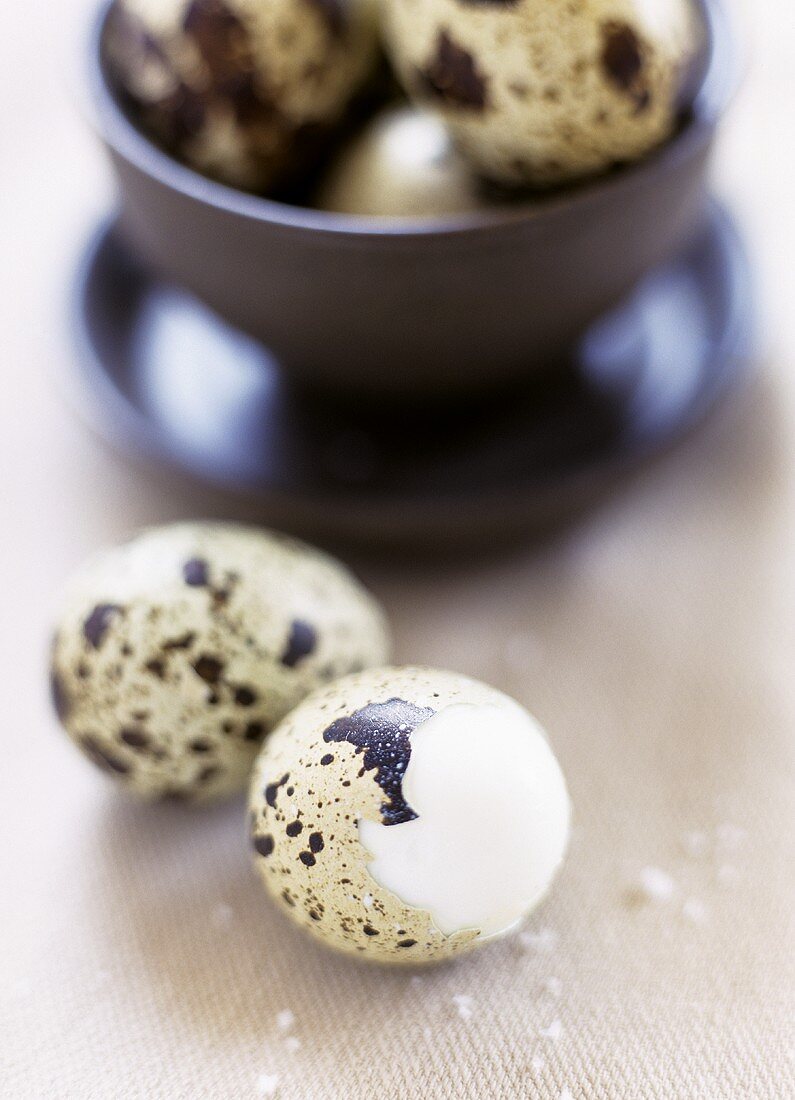 Quail Eggs