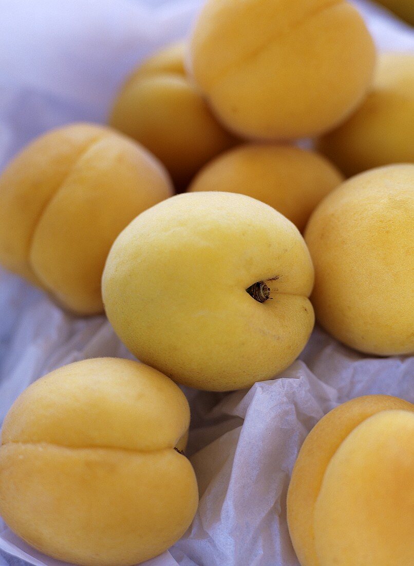 Apricots