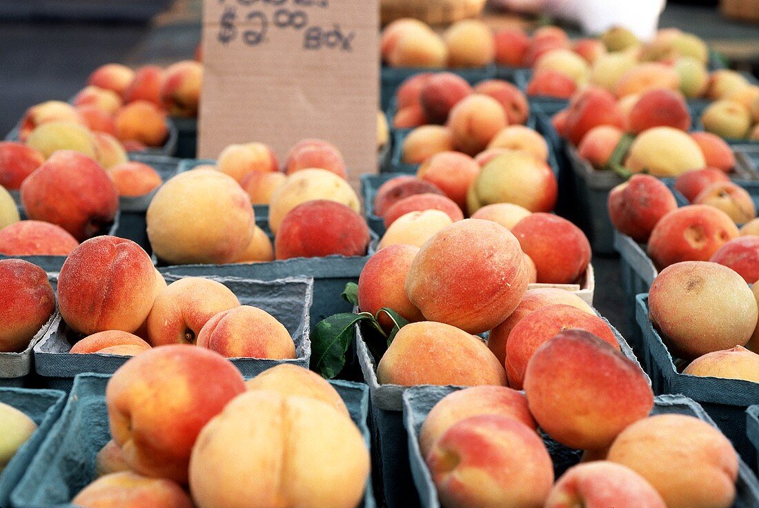 Frische Pfirsiche in Pappschälchen auf dem Markt