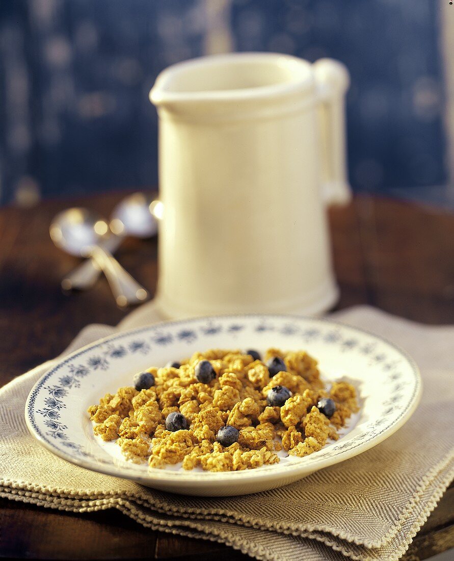 A Bowl of Granola with Blueberries