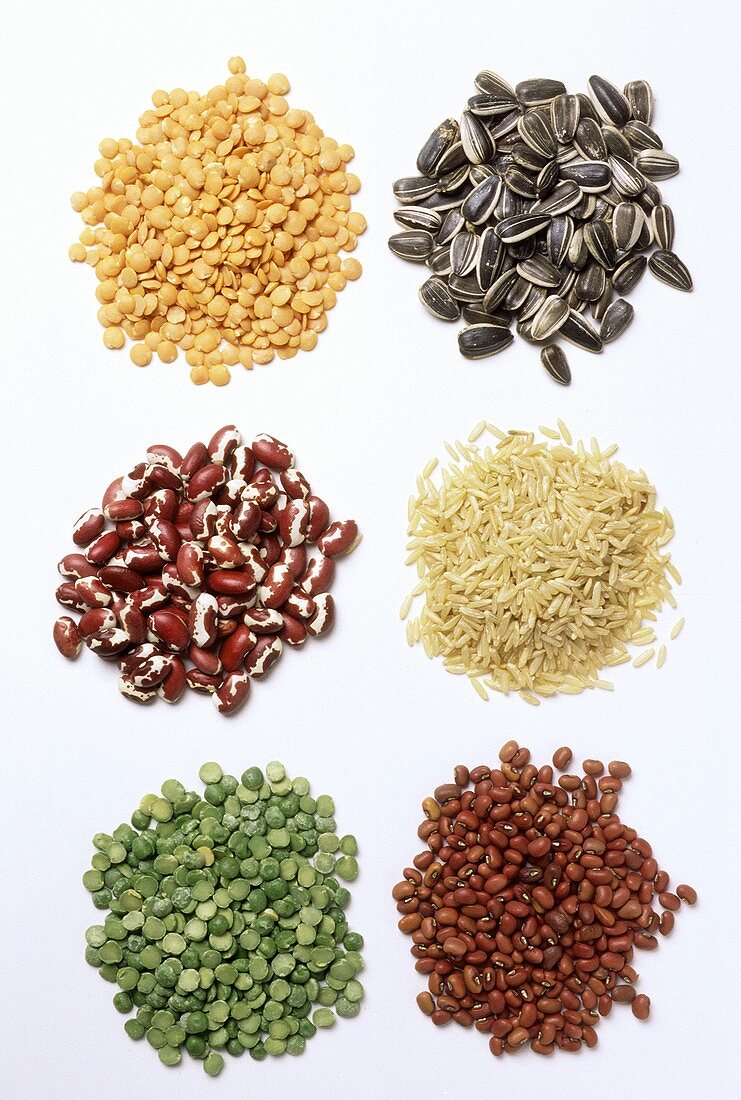 Assorted Dried Grains and Legumes