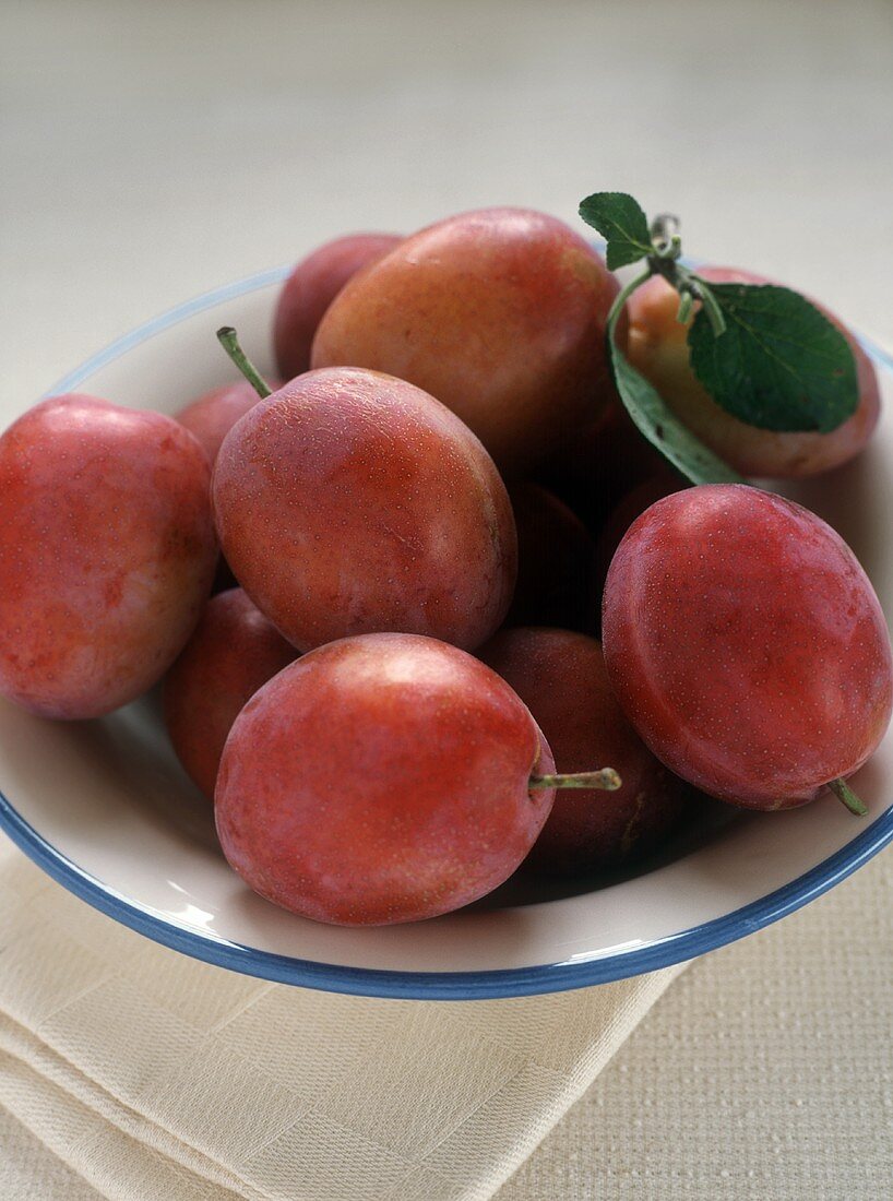 Victoria Plums in a Bowl