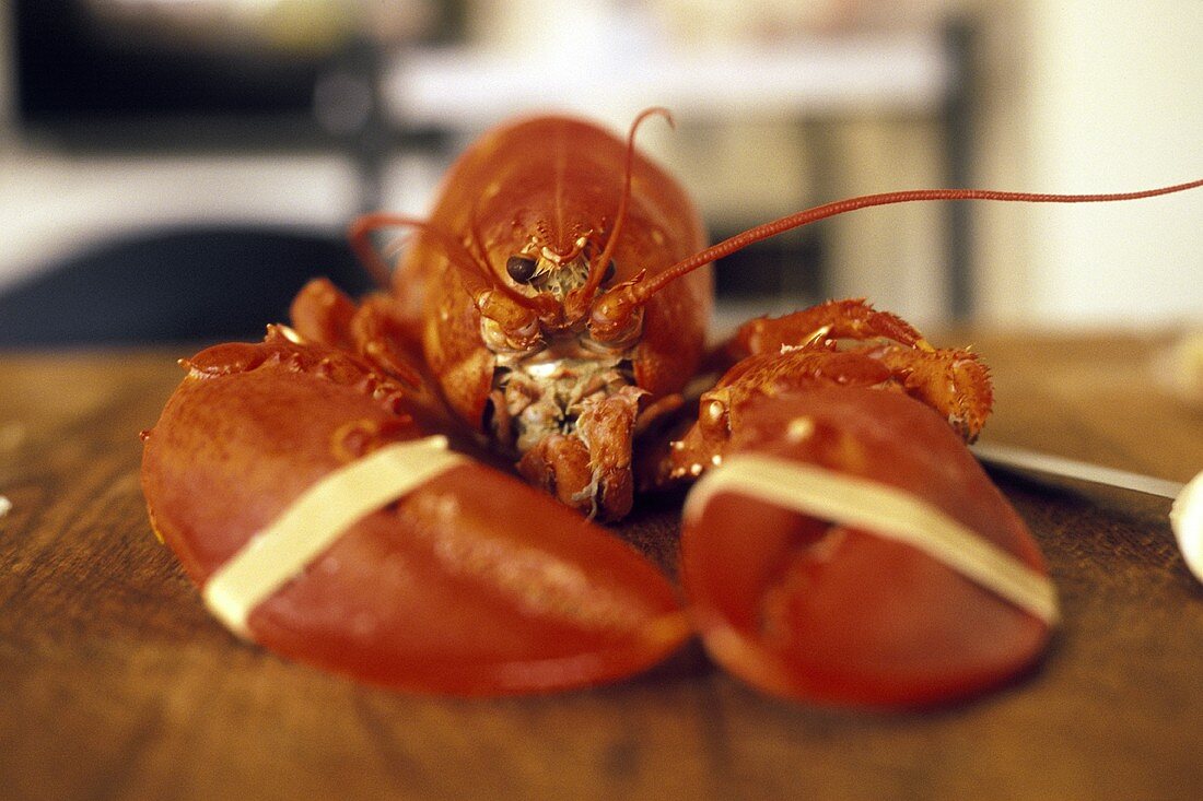 A Boiled Lobster